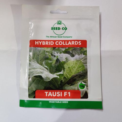 SeedCo Hybrid Collards Tausi F1 Seeds