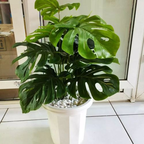 Artificial Monstera Flower, Decor Stones Plus A Vase