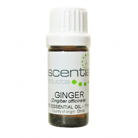 Ginger Essential OIl, 11ml