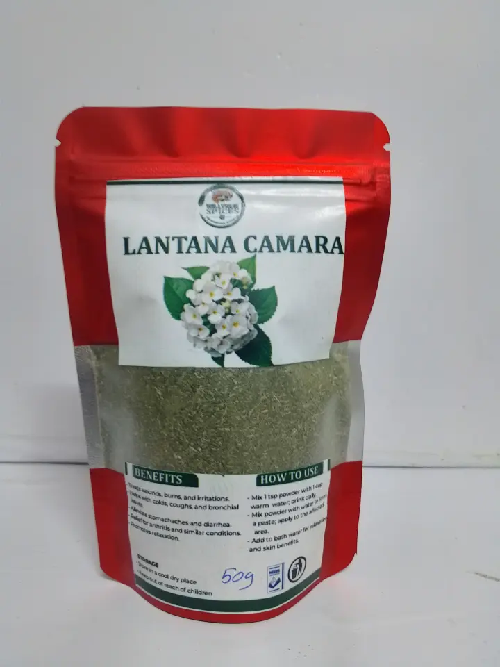 pure organic Lantana Camara powder.best for brain booster