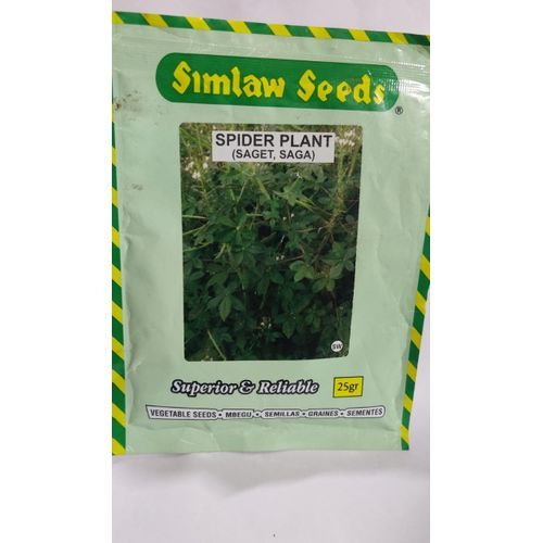SIMLAW SEEDS SPIDER PLANT (SAGET, SAGA)