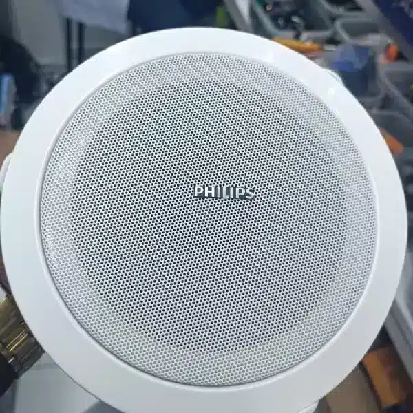 Ceiling Speakers 10 inch