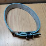 Leather Dog Collar