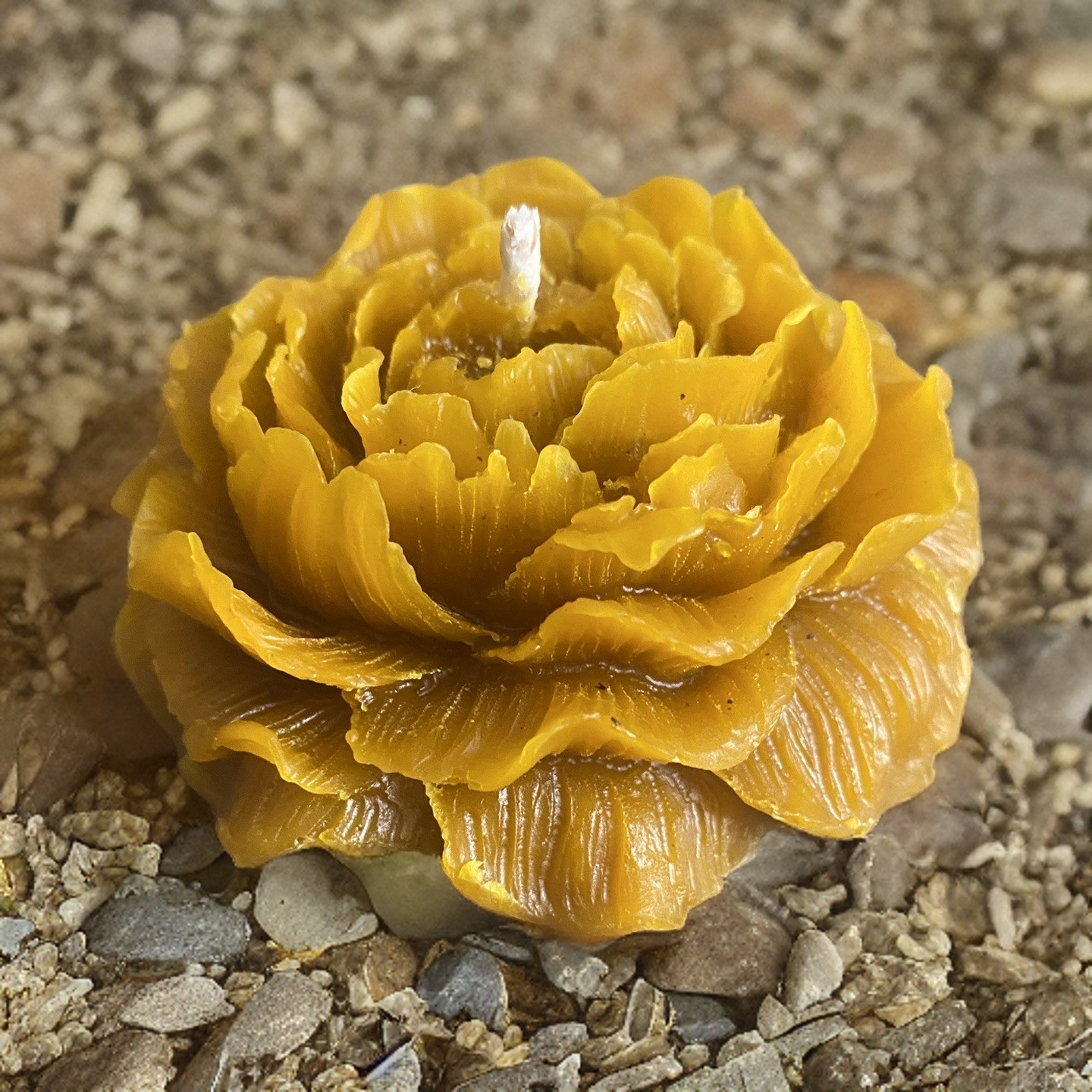 Floral Flame Beeswax Candle