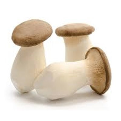 Fresh Oyster Mushroom 250G