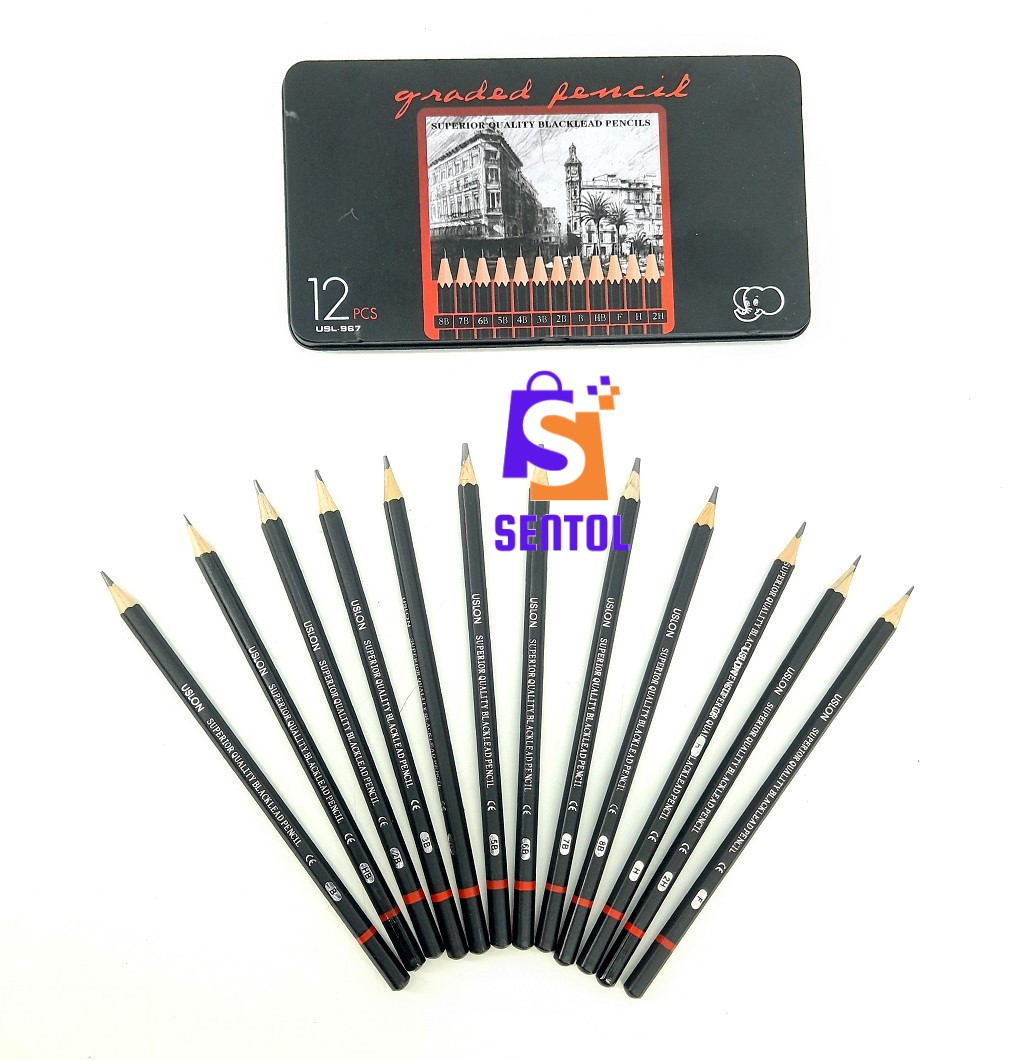 12PCS Graded Black Lead Charcoal Pencils Set 8B, 7B, 6B, 5B, 4B, 3B, 2B, B, HB, F, H, 2H