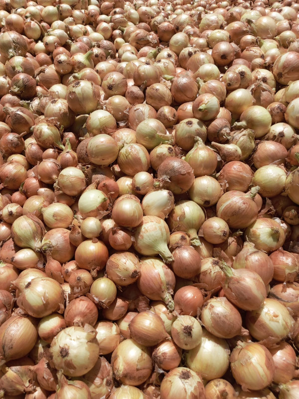 Fresh White Onions 1KG