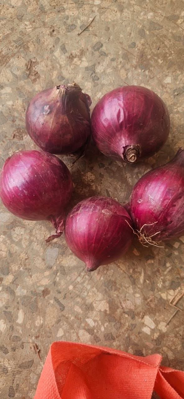 Fresh Red Onions 1kg