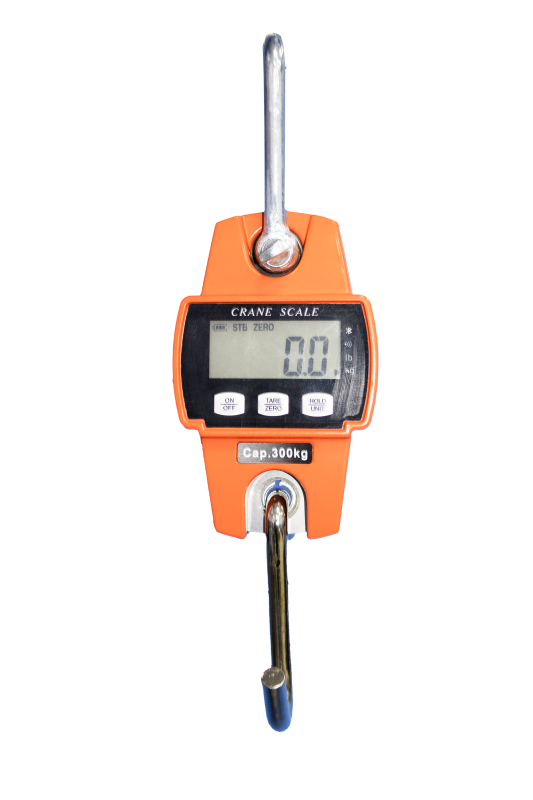 OCS-10A Mini Crane Scale