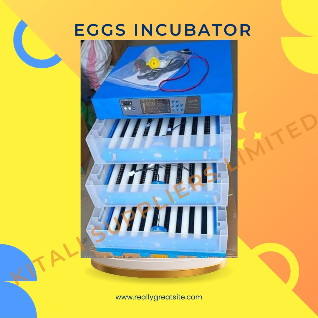 64 eggs incubator