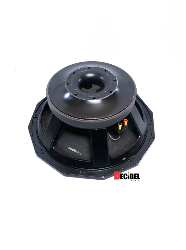 PD 18 Naked Speaker