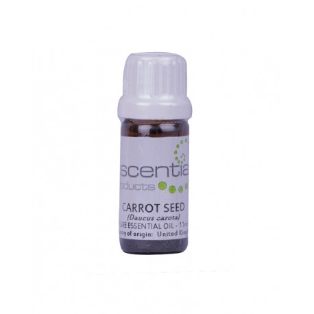 Carrot Seed Essential Oil, 11ml