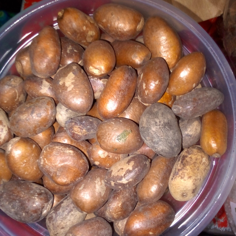 African nutmeg /Gabonese /Calabash nutmeg