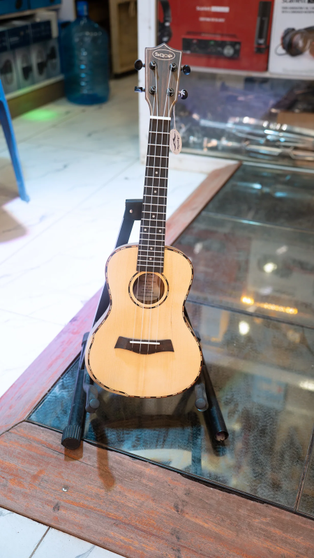Ukulele small guitar