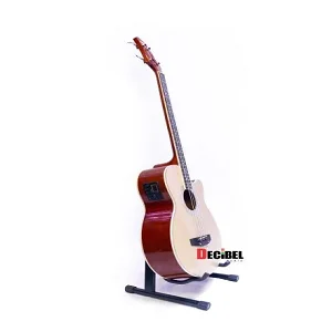 Semi Acoustic Bass Guitar