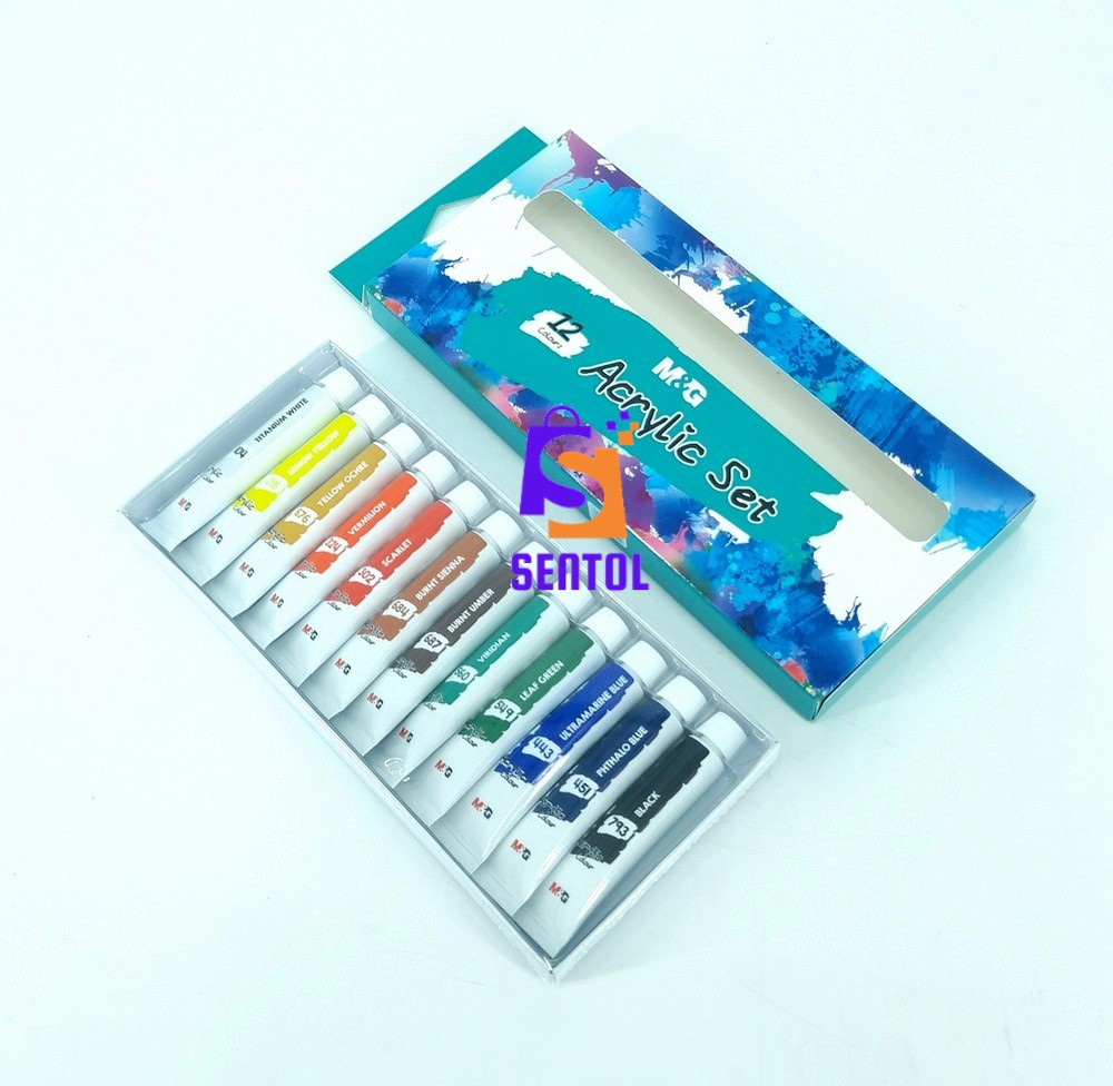 12 Color Acrylic Paint Set 12ml Tubes