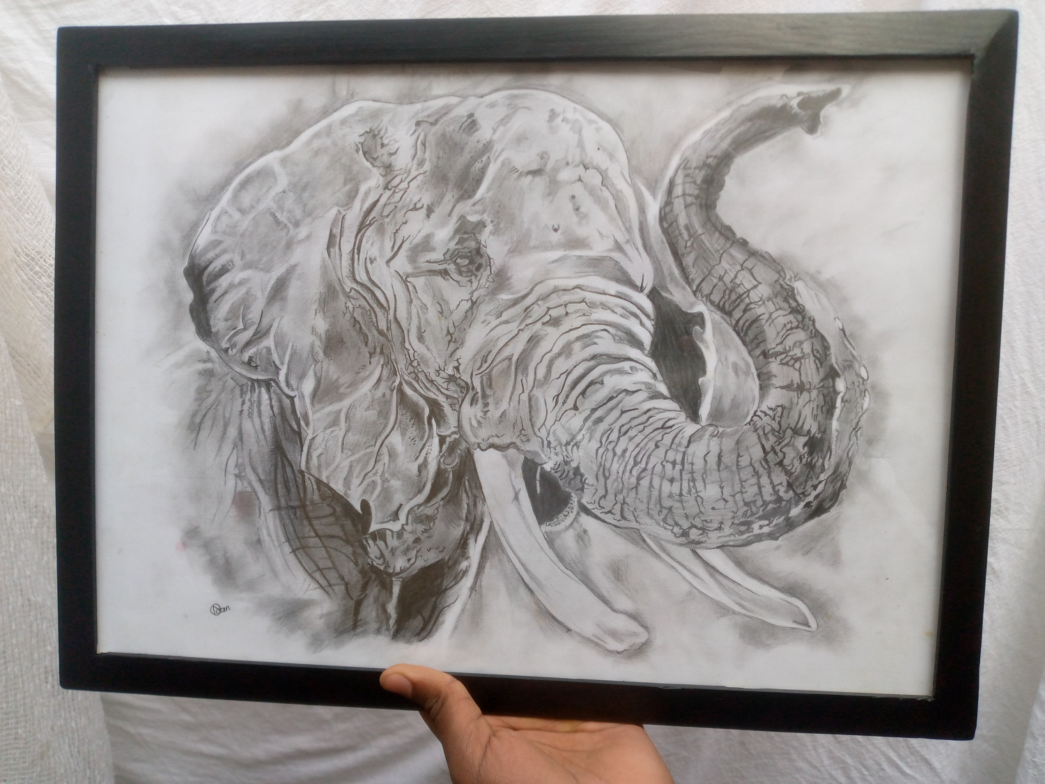Majesty - Elephant Art