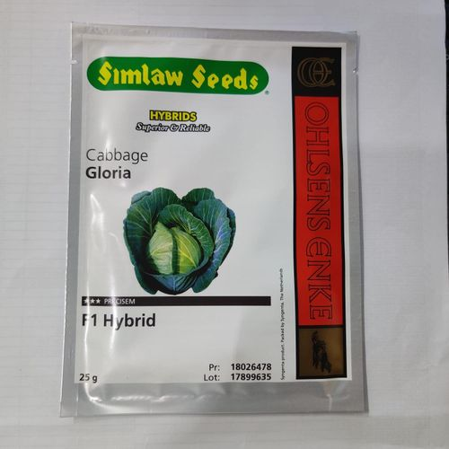 SIMLAW SEEDS Cabbage Gloria F1 Hybrid Seeds