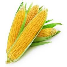 Sweet Corn 500g