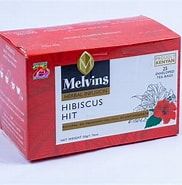 MELVINS HIBISCUS