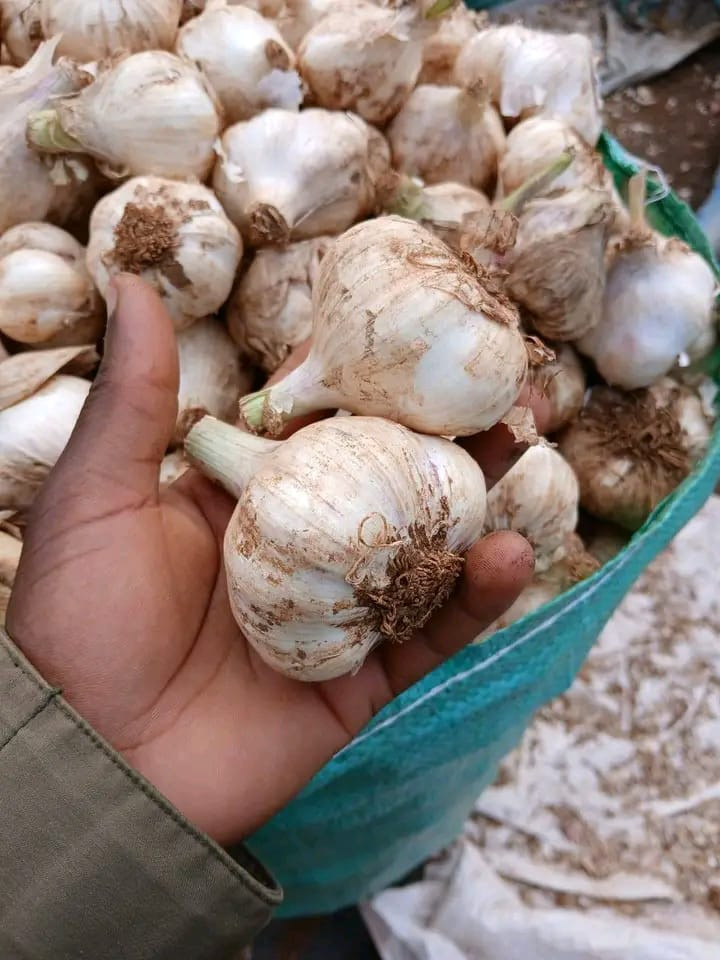 Fresh Garlic 1kg
