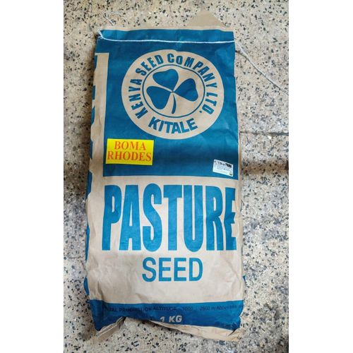 Seeds Boma Rhodes Pasture Seed