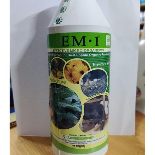 EM1 effective micro organisms