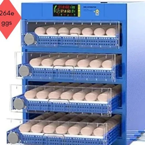 Eggs incubator Eco264 with 500w power