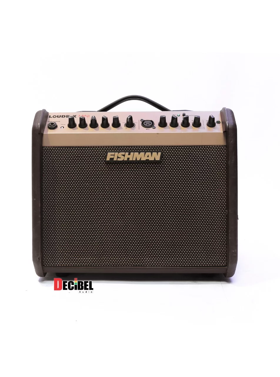 Fishman Solo Combo speaker
