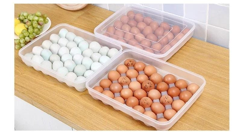 Egg storage  Tray