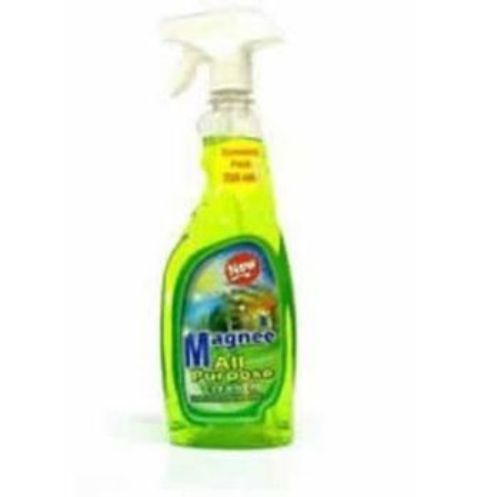 Magnee All Purpose Cleaner 750ml