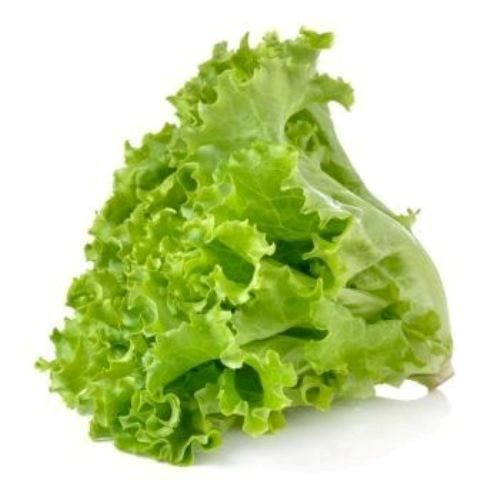 Lettuce (Soft Leaf)