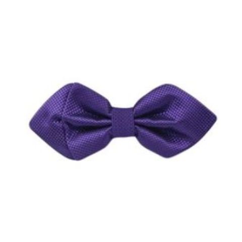 Purple Regal Bow Tie Sharp Corner