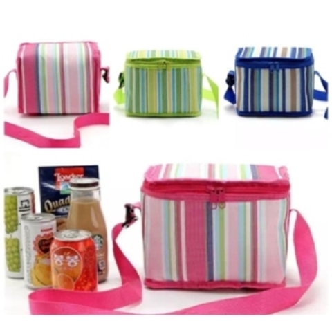 INSULATED LUNCHBOX CARRIER